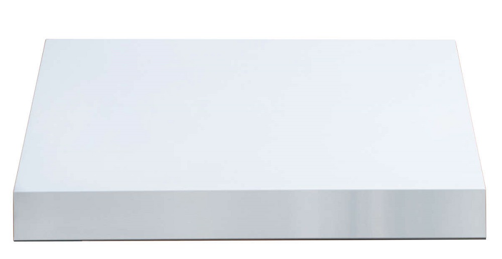 TrueFlame 42 Inch Dual Motor Stainless Steel Outdoor Kitchen Vent Hood