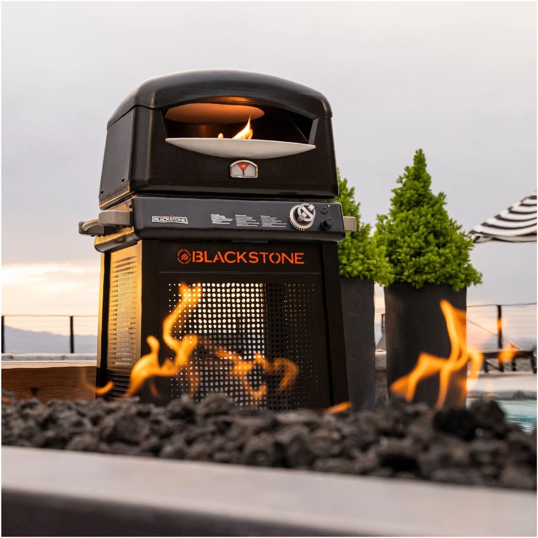 Blackstone Propane Pizza Oven with Mobile Cart