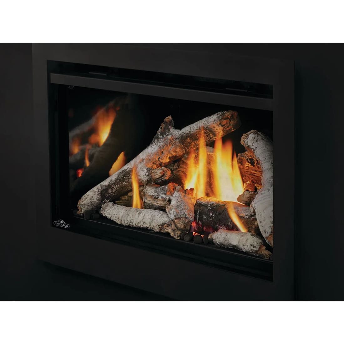 Napoleon Rosedale 3 Gas Fireplace Insert