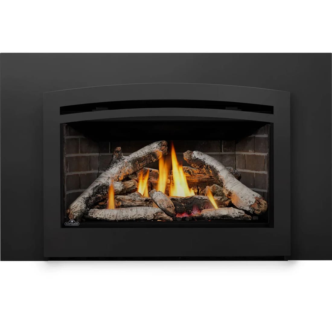 Napoleon Rosedale 3 Gas Fireplace Insert