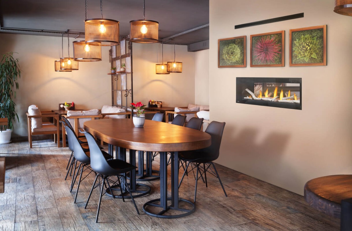 Napoleon 50 Inch See-Thru Luxuria Direct Vent Natural Gas Fireplace