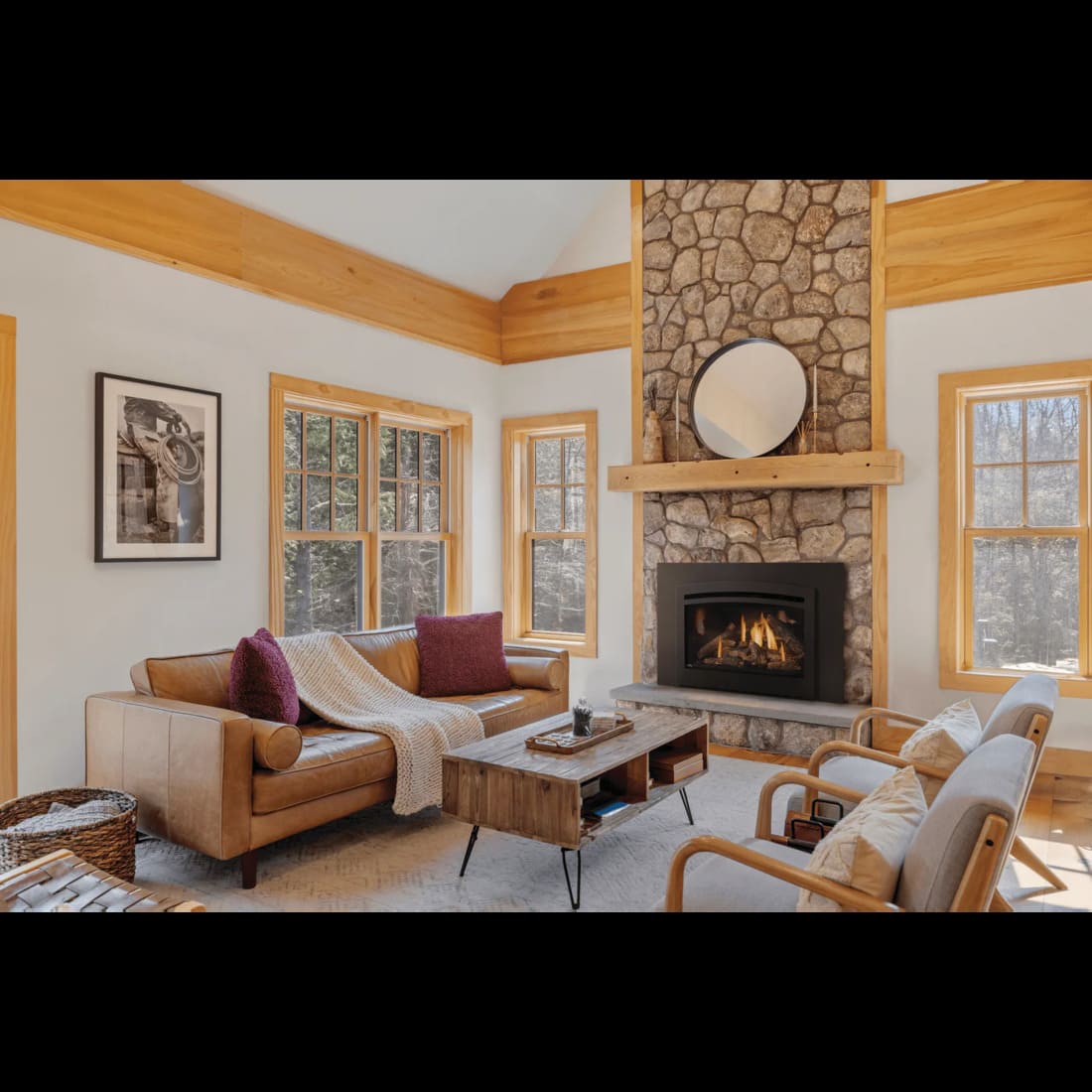 Napoleon Rosedale 3 Gas Fireplace Insert