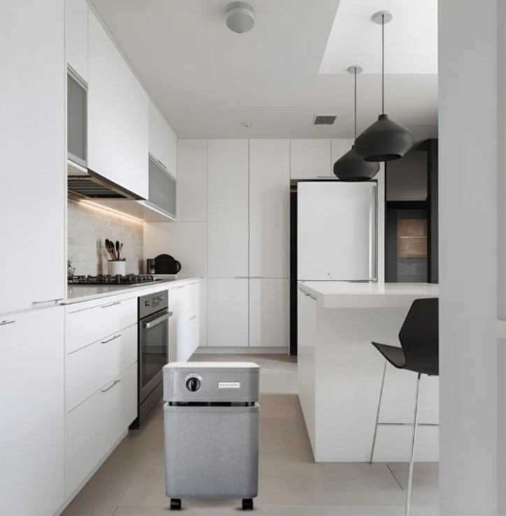 Austin Air 15 Inch Immunity Machine Air Purifier