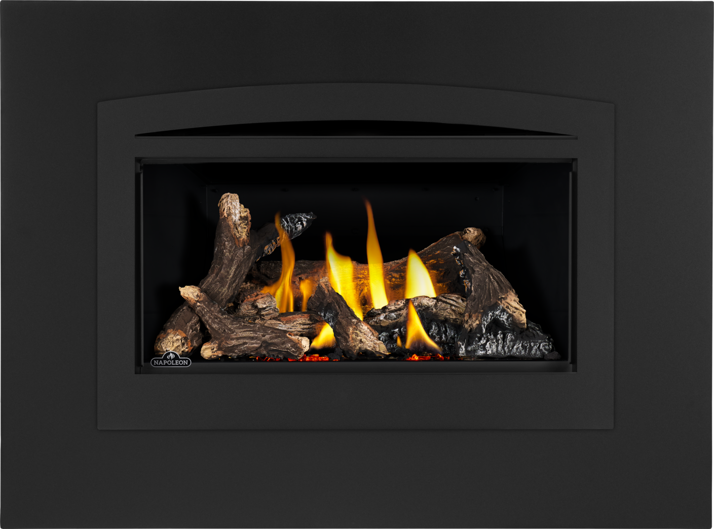 Napoleon Rosedale 2 Gas Insert | eFireplaceStore.com