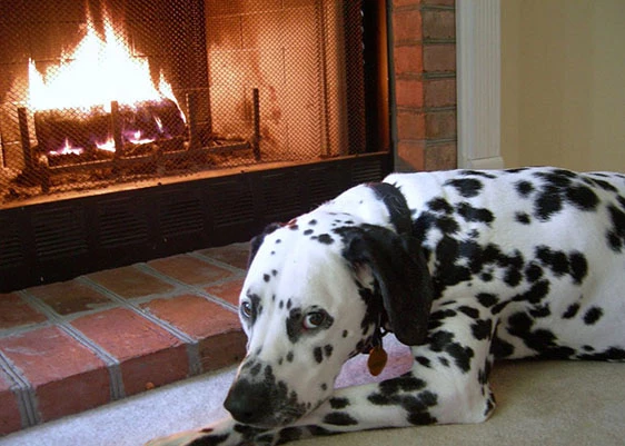What Are Ceramic Refractory Fireplace Logs