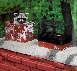 5 Animals That Want To Destroy Your Chimney & The Chimney Caps To Prevent It
