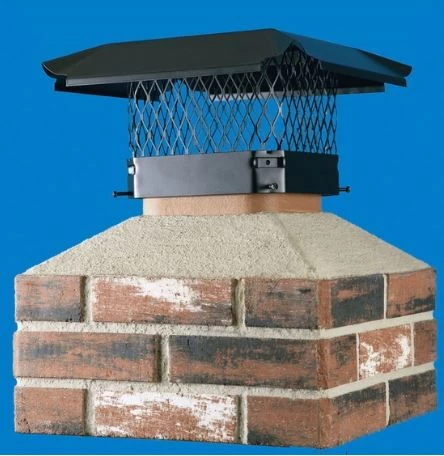 5 Animals That Want To Destroy Your Chimney & The Chimney Caps To Prevent It