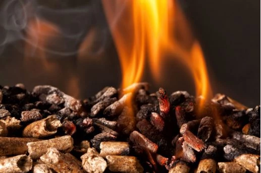 BBQ Grills