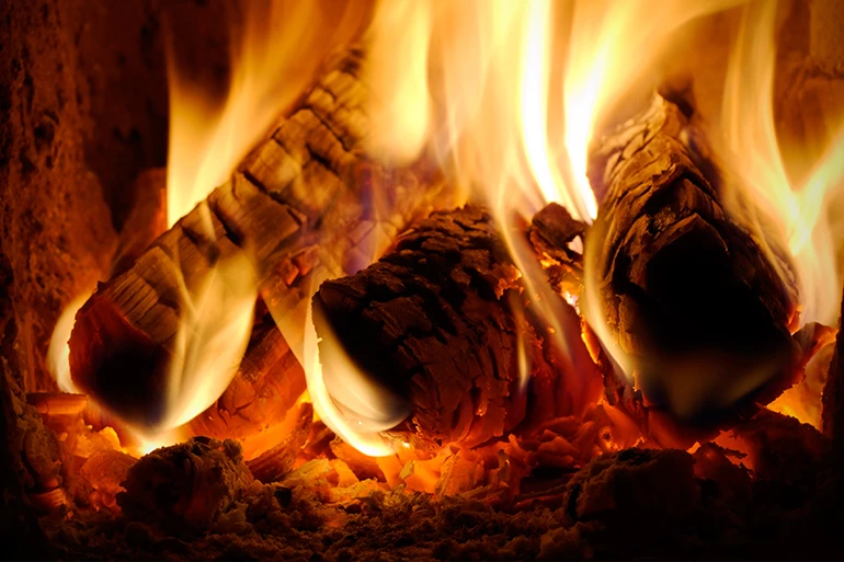 A Complete Guide to the Benefits and Uses of Wood Ash