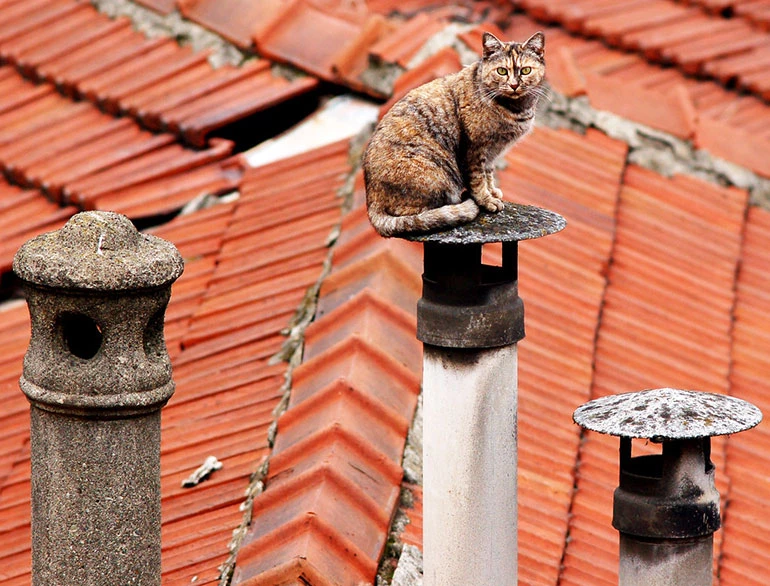 Chimney Pipe Buyer's Guide