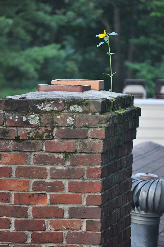 Chimney Pipe Buyer's Guide