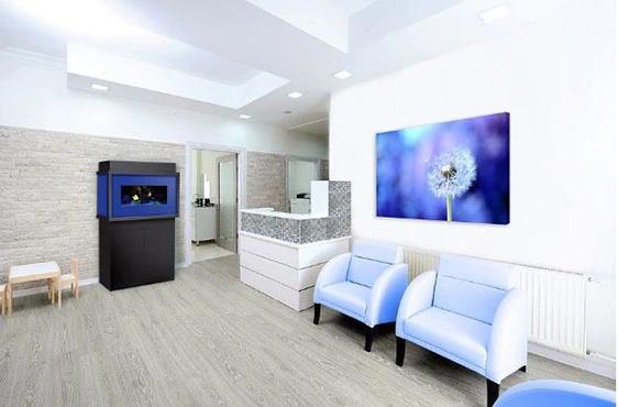 Dimplex Buyers Guide