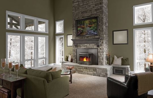 Napoleon pellet stove insert