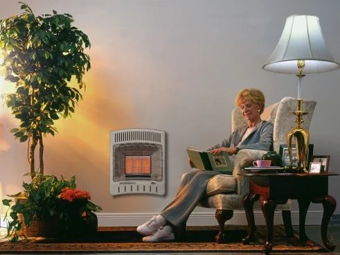 Gas Heaters