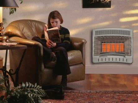 Gas Heaters
