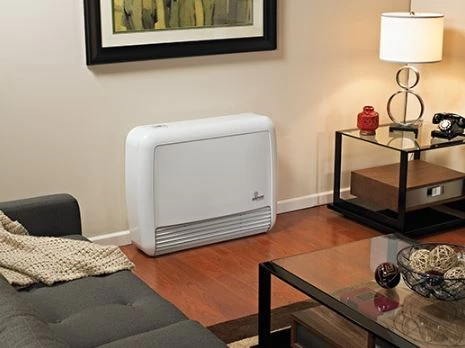 Heater Buyer's Guide