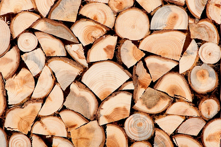 How Much Firewood Do I Need for Winter
