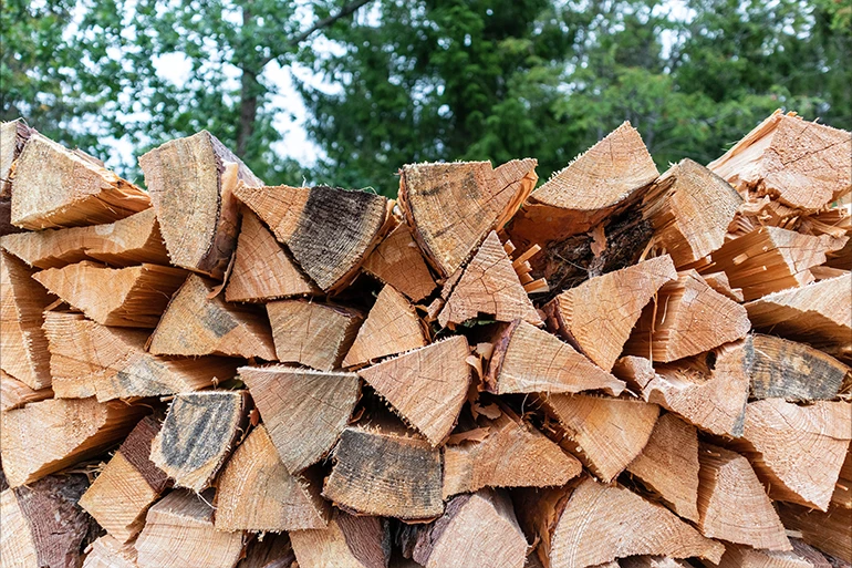 How To Season Wood 