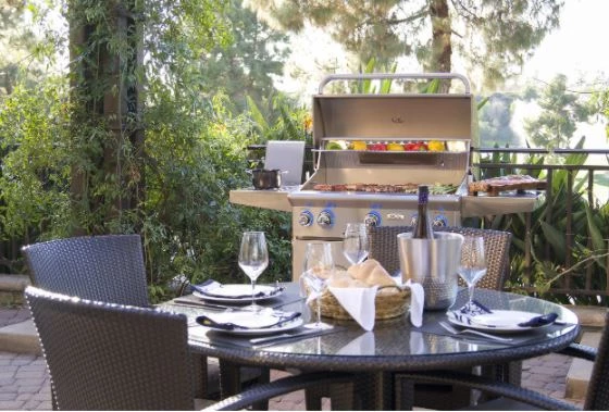 Natural Gas Grills