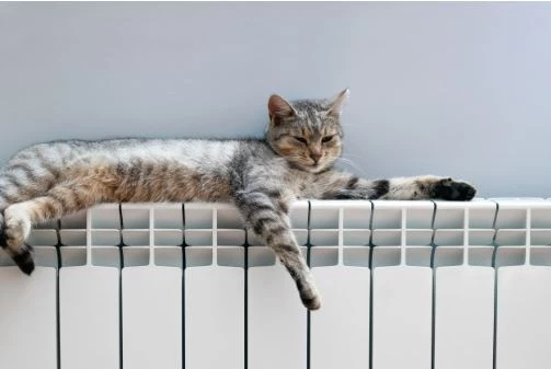 Natural Gas Heaters