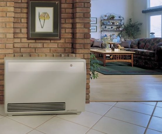 Direct vent wall heater