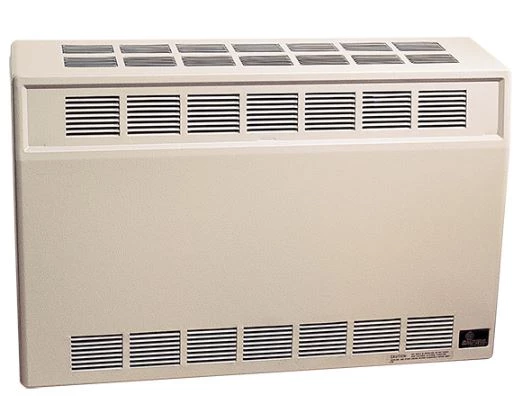 Direct vent wall furnace