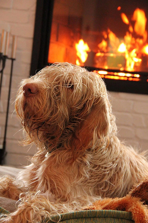 Are Ventless Gas Logs Right For you 