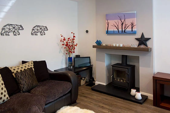 Wood Stove Buyer's Guide